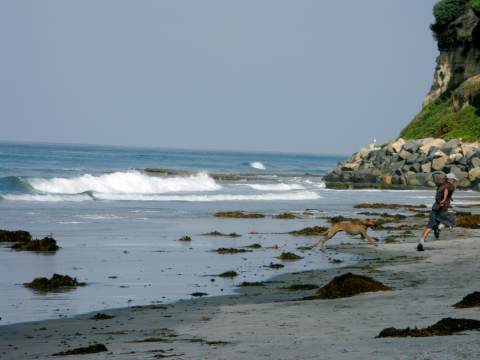 San Diego Tide Chart