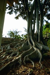 Balboa Park