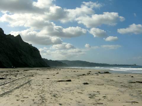 Blacks Beach San Diego