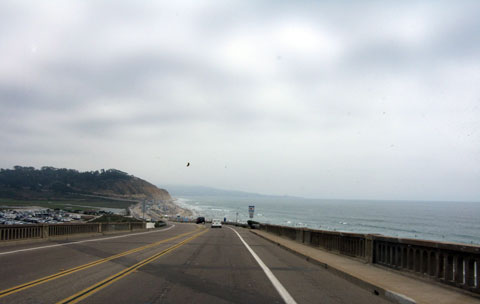 Torrey Pines Beach