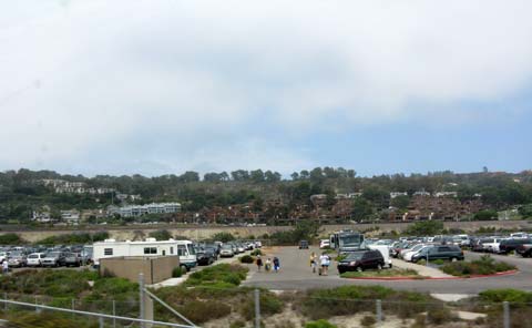 Torrey Pines Beach