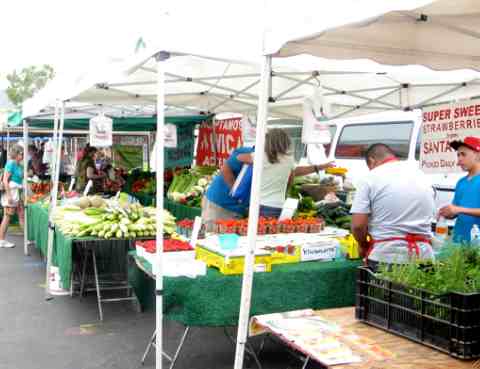 Local Farmers market