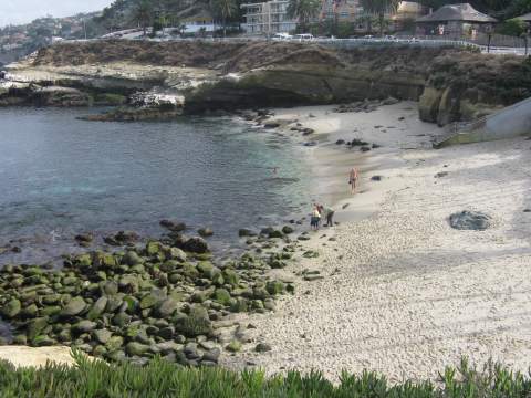 La Jolla Cove