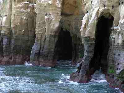 La Jolla Caves