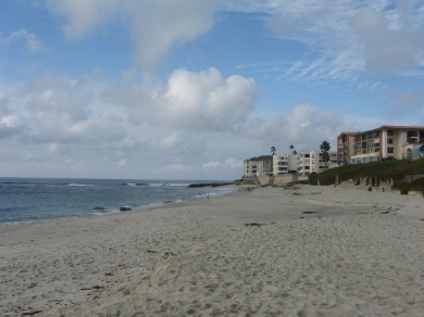 Marine Street Beach