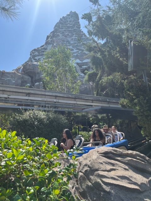 Matterhorn Disneyland Ride
