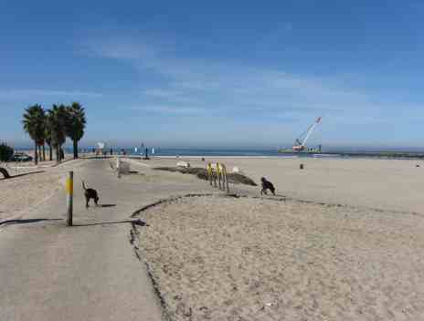 what beaches allow dogs in san diego