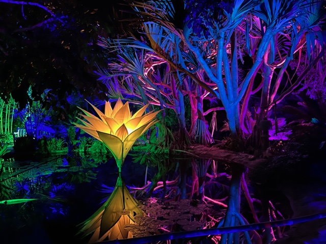 Lightscape Show San Diego Botanic Garden