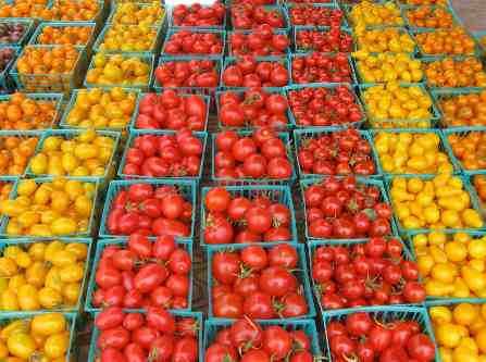 San Diego Farmers Market