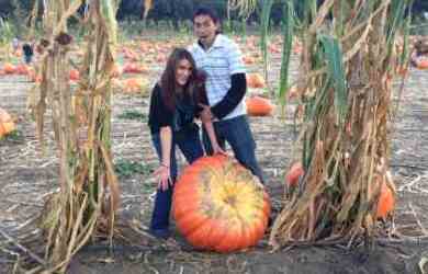 Halloween Pumpkin Patch