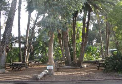 San Diego Zoo Picnic Area
