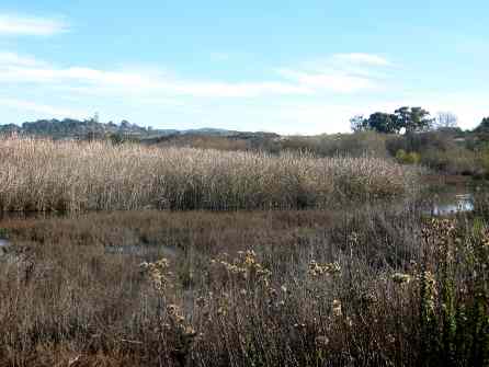 Nature Trail San Diego