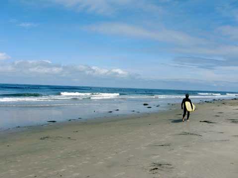 Surfing San Diego