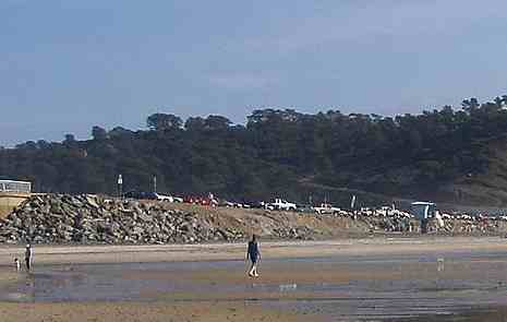 Torrey Pines Beach