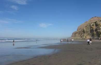 Torrey Pines Beach