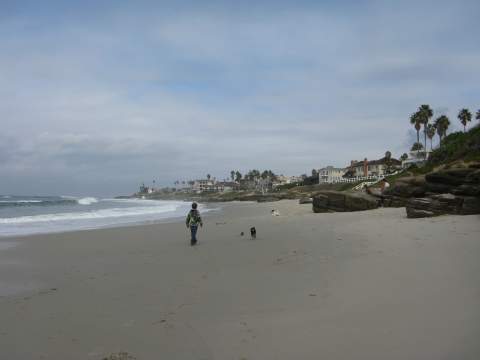 Windnsea Beach San Diego