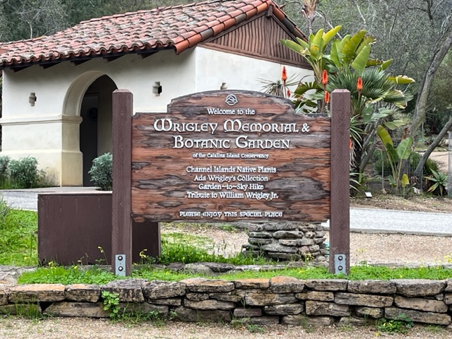 Wrigley Memorial and Botanic Garden Catalina