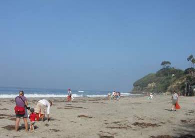 San Diego Beach Cleanup