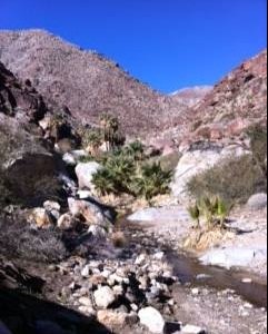 Anza Borrego Activities