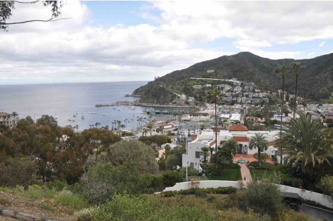 Avalon Catalina