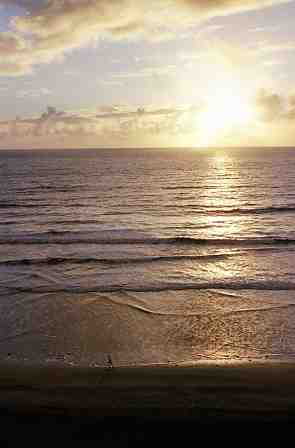 Blacks Beach State Beach