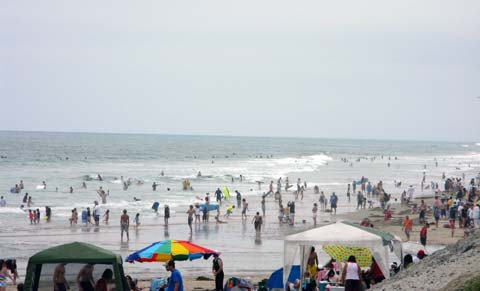 Torrey Pines Beach