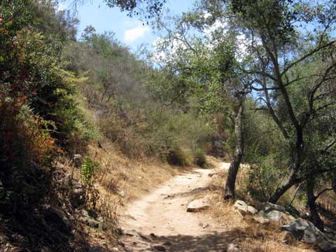 San Diego Hiking Trail - Way Up Trail