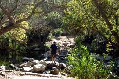 Elfin Forest Recreational Reserve