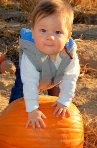 Halloween Pumpkin Patch