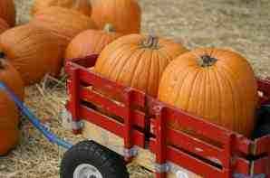 San Diego Events October