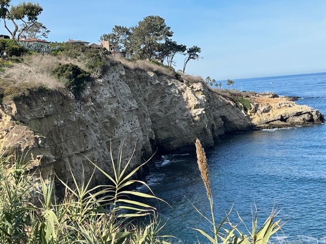 La Jolla Coast