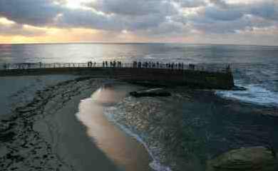 La Jolla Coast Walk