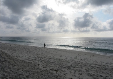 Marine Street Beach
