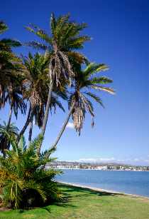 Mission Bay Park