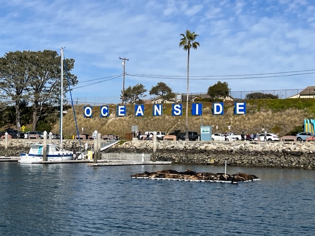 Oceanside Harbor Sea Lions