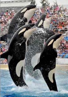 San Diego Attractions