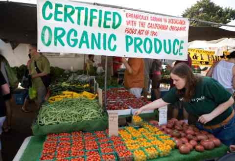Organic Farmers Market