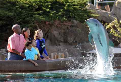 Sea world discount tickets