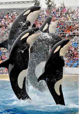 Sea World San Diego