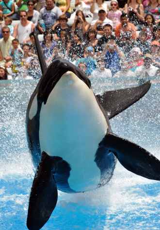 Sea World Discounts