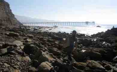 La Jolla tide pools