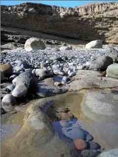 Point Loma tide pools