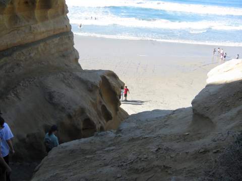 Torrey Pines State Reserve