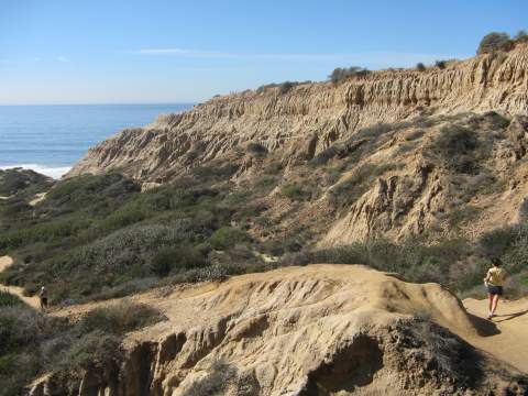 Torrey Pines State Reserve