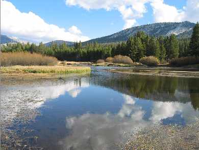 Tuolumne Meadows